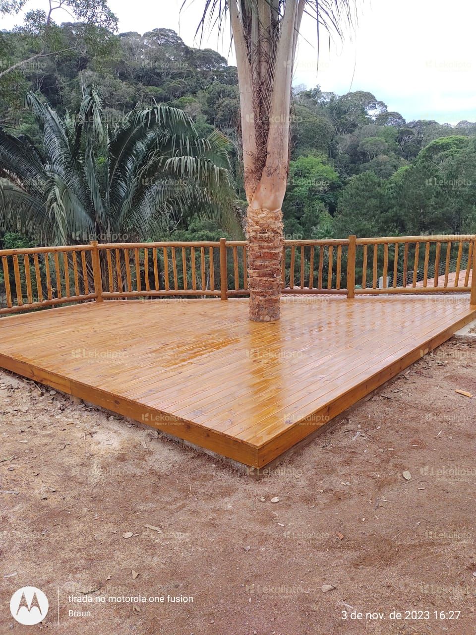 Deck Pinus Tratado